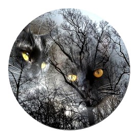 Fashion Jewelry EVIL BLACK CAT EYES NIGHT TREE Large  Pendant Charm GERMAN Silver 20" Necklace