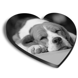 1 x Heart MDF Magnets - Sleeping Beagle Dog Puppy Cute 42360