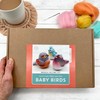Bergin & Bath Needle Felting Kit Baby Birds - Adult