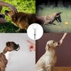 LIANRISES 6pcs Dog Training Whistles For Recall, Silent Dog Whistle