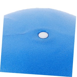 BESPORTBLE Multi-use Exercise Ball 25cm Mini Pilates Ball Reusable Yoga Ball for Fitness Levels Home Gym Workout