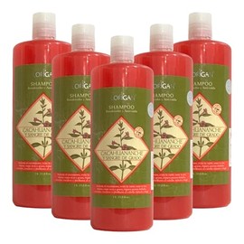 Shampoo Fortalecedor Anti-Caída de Cacahuananche Fortalecido con Sangre de Grado 1L. FLORIGAN (5 pieza)                                               