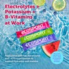 EcoSport Instant Hydration Packets, Watermelon – Electrolytes, Vitamin C, B