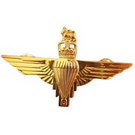 Reproduction WW2 BRITISH PARATROOPER PARACHUTE REGIMENT CAP BADGE PIN GOLDEN, standard, Metal, no gemstone