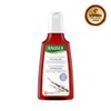 Rausch [Elastic Root Volume Shampoo] Rausch Willow Bark Treatment Shampoo