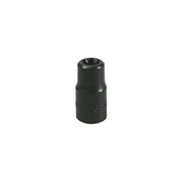 Lisle 26800 1/4-Inch Drive External Torx Socket E-8