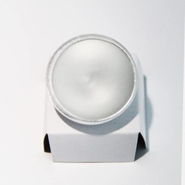 GBF 12V 20W BA15D ALR 12 - Elevator Light Bulb (10 Pack)