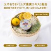 Beauterondo Withfam Moisture Cream, Refreshing Yuzu Scent, Family Use, For