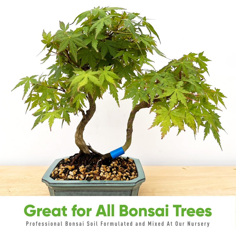 Bonsai Outlet Bonsai Soil Mix - Tinyroots All Purpose Bonsai