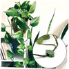 SUPVOX Sets Sturdy Plant Fixtures Plant Clip Climbing Clips Wall