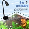 Aquarium Light, LED Light, Small, Aquarium Light, Spotlight, Tropical Fish
