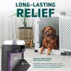 Germ Guardian FLT5250PT True HEPA Genuine Air Purifier Replacement Filter