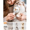 Pet Steam Brush for Dogs & Cats , Brushes for