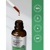 Mullein Leaf Extract | 2oz Liquid