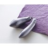 IWACHU 33003 Set of 2 Nanbu Tekki Iron Eggplants