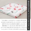 NOREN Japanese Cotton Towel Senshu (Osaka) Towel/Washcloth Face Towel Japanese