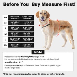 Tacwild No Pull Dog Harness - Adjustable Reflective Dog Vest with Metal Snap, Soft Breathable Mesh No Choke Puppy Harness, Easy to Put on & Take Off (Black-XS)