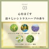 La Casta Aroma Aesthetic Hair Emulsion (Non-Rinsing Treatment), Organic Plant