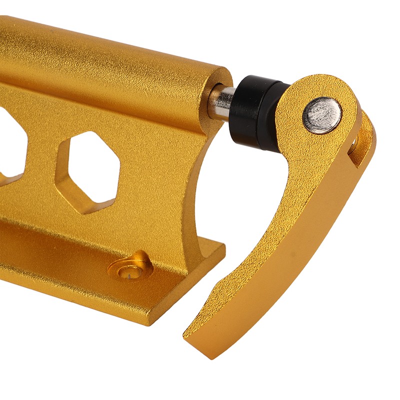 Bike Fork Mount with Quick Release Aluminum Alloy for Transport