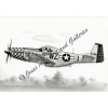 P-51 Mustang "Big Beautiful Doll" Giclee & Iris Art Prints