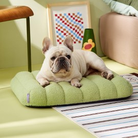 Lesure Cute Orthopedic Dog Bed for Small Dogs, Waterproof Chic Flat Pet Mat with Removable Washable Cover, Fuzzy Thick Egg Crate Foam Pet Mattress for Indoor Use (24" x 18", Green)