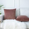 JUSPURBET Velvet Pillow Covers,Pack of 2 Decorative Throw Pillow case