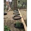 6 Pack of 16 in Planting Rings for Watering Plants