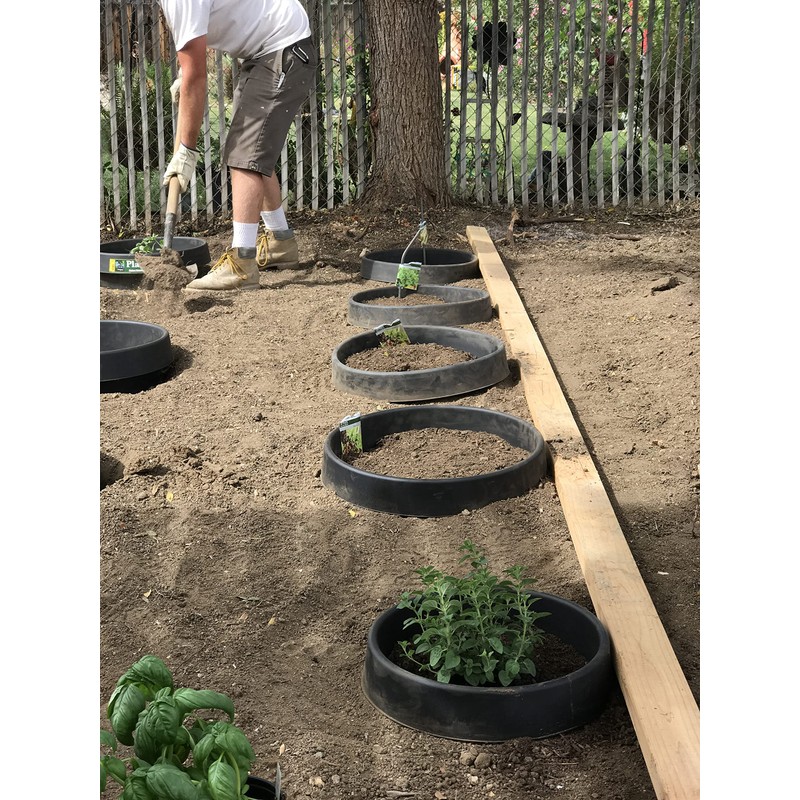 6 Pack of 16 in Planting Rings for Watering Plants