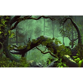 Foggy Forest Aquarium Background Stone Green Tree Terrarium Background Tropical Reptile Habitat Background Rainforest Aquarium Backdrop Durable Polyester Background Decor Vinyl 72x24in