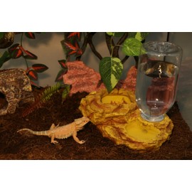 AQUA KT Reptile Mealworm Feeder Water Reservoir 2 in 1 Reptile Feeder for Amphibians, Lizards, Bearded Dragons, Snake Feeding