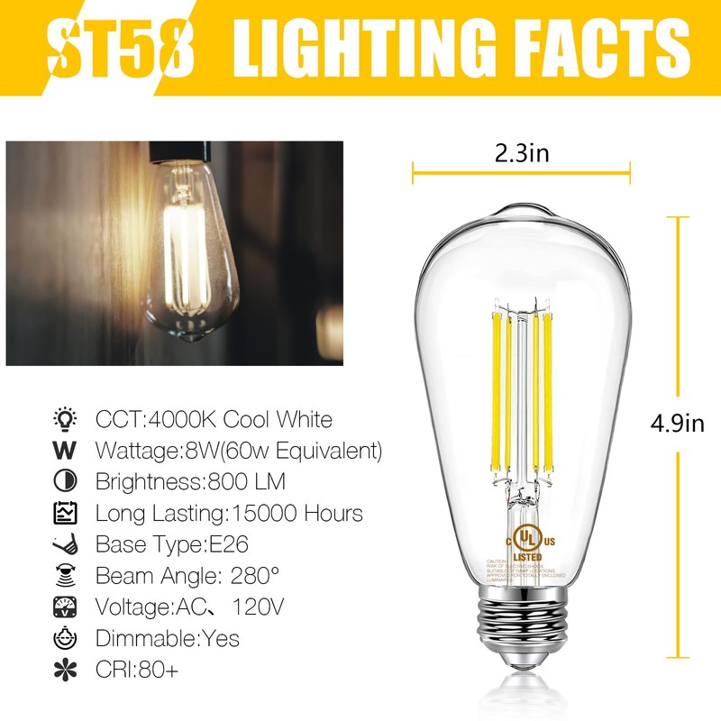 DAYBETTER 20 Pack LED Lights, Vintage LED Edison Bulbs 60