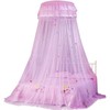 Round Canopy Lace Princess Style Mosquito Net Bed Curtain for