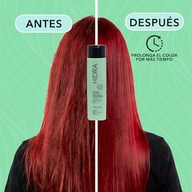 HIDRACOLOR - Color Shampoo 300 ml, Champú que Fortalece, Humecta y Protege, Prolonga el Color de Cabellos Teñidos, con Filtros UV, para Cabello con Brillo, Sedoso y Desenredado, Acondiciona el Cabello