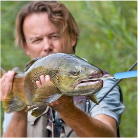 LiJuanWang Fishing Hook Remover, 4 Pieces Stainless Steel Fishing Unhook Disgorger, Fast Sea Fishing Hook Remover, Portable Fishing Hook Remover, Unhooking, Fishing Accessories