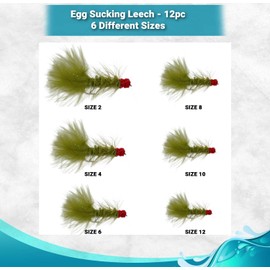 Feeder Creek 12pc Egg Sucking Leech Fly Fishing Streamers Perfect for Salmon, Steelhead, and Other Freshwater Fish (Olive, 2)