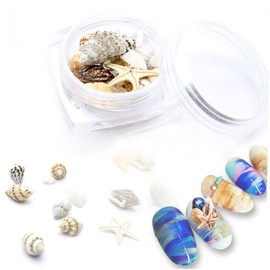 Ipetboom Elegant Sea Shell Nail Art Decorations Set 3D Shell Gems for DIY Manicure Jewelry Design