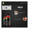 Aceite De Ricino 100 Puro, Natural 50 Ml. Vida Scents