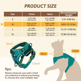 GlasFlength Cat Harness with Lead, Escape Proof, Cat Lead with Harness for Cats, Adjustable Cat Harness Set, Cat Harness, Soft Harness for Cats with Reflective Stripes (Sea Blue, M)