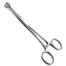 3× Babcock Tissue Forceps 6.4" Surgical Intestinal Veterinary Stainless Steel Instruments