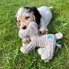 Petface (Little Petface) Freddi Cord, Plush Puppy Dog Toy