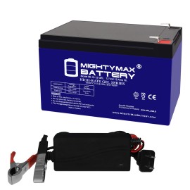 Mighty Max 12V 12AH GEL F2 Replaces Freedom 947 Electric Scooter + 12V Charger