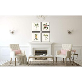 Tropical Botanical Prints Set of 4 Giclee Fine Art Prints - Unframed