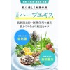 KADASON Facial Cleansing Foam (4.2 oz (120 g) / Seborrheic