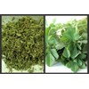 100g | DRIED FENUGREEK LEAVES **FREE UK POST** DRY FENUGREEK LEAF METHI KASTO...