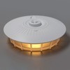 Flea Trap Dome USB Non Toxic Safe Odorless Natural Flea