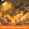 Chicks Brooder Box for Chicken Starter Kit- Includes Timing Heat