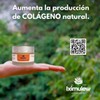 Serum Crema Regeneradora Iximulew Anti-edad con Ácido Tryalurónico para una