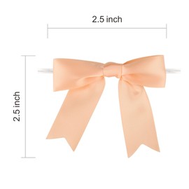 Meseey 100 Pcs Pastel Peach Satin Ribbon Bows with Twist Tie 2.5 Inch Pretied Premade Colored Craft Bows for Gift Wrapping Basket Wedding Baby Shower Brithday Party (Peach)