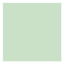 Natural Green A4 Coloured Craft Card 160gsm x 50 Sheets