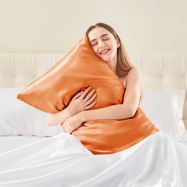 BEDELITE Satin Pillowcase with Zipper 2 Pack, Burnt Orange Pillow Cases Standard Size, Super Soft and Cooling Similar to Silk Pillow Cases, Gift for Women Men(20x26 Inches)